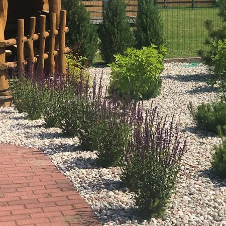 Aido Takas 4 Holiday Паланга