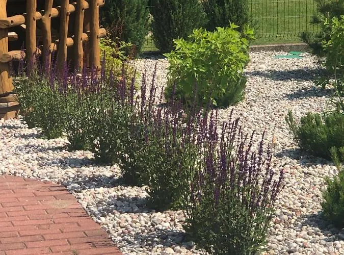 Aido Takas 4 Holiday Palanga