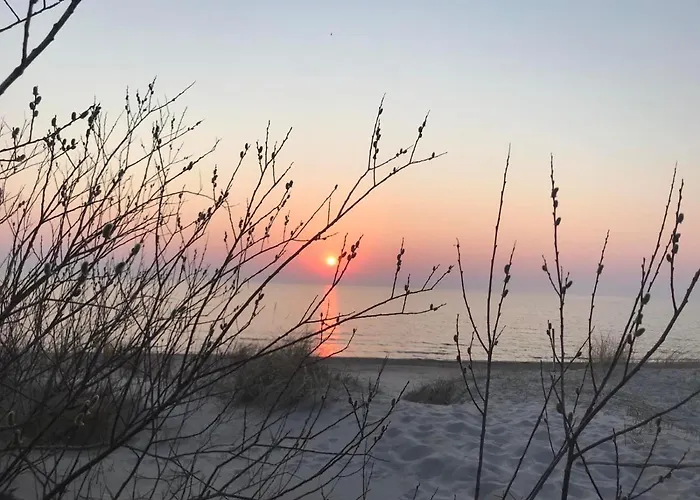 Aido Takas 4 Holiday