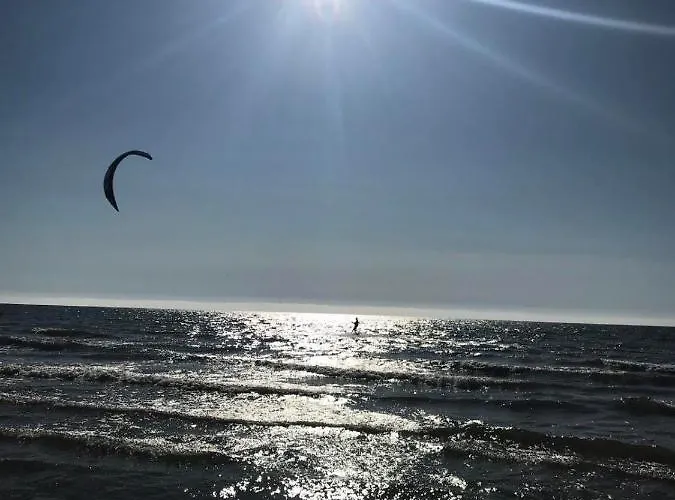 Aido Takas 4 Holiday Palanga