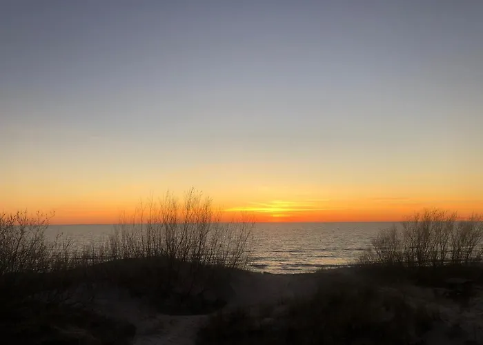 Aido Takas 4 Holiday *