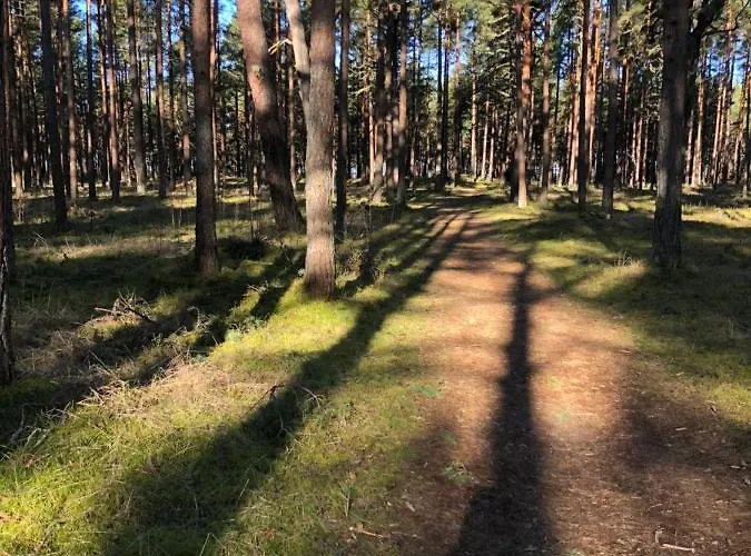 Aido Takas 4 Holiday * Palanga