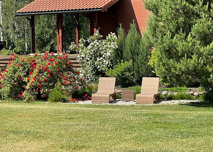 Aido Takas 4 Holiday *